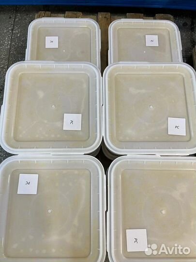 Майский свежий натуральный мёд Оптом