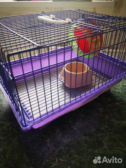 Клетка для джунгарского хомяка