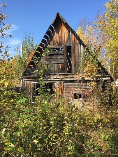 Участок 10 сот. (СНТ, ДНП)