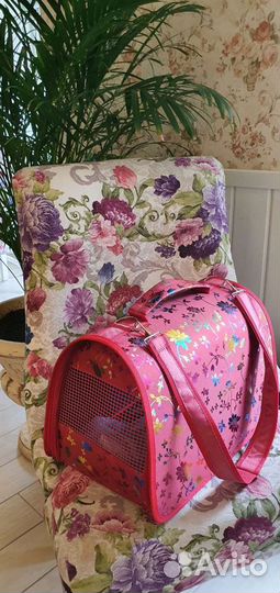 Переноска для кошек. Аренда