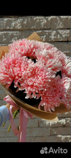 Цветы хризантема пастель, пион