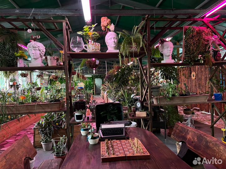 Прогулки, фотосессии, мастер-классы в оранжерее