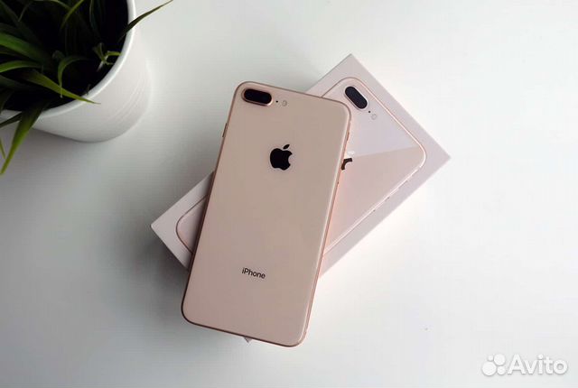 iPhone 8 Plus, 256 ГБ купить в Улан-Удэ Электроника Авито
