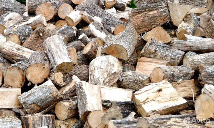 Дрова с Приморска