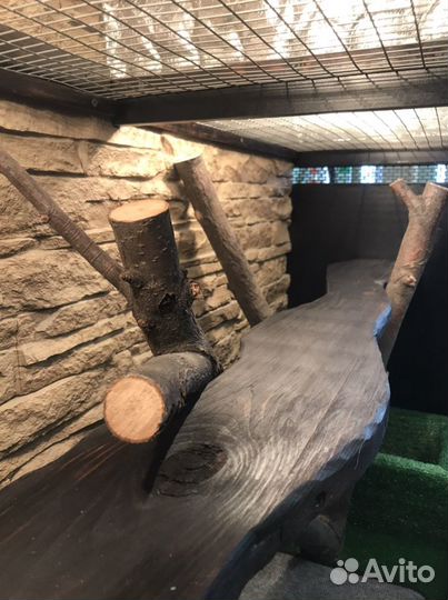 Террариум для рептилий