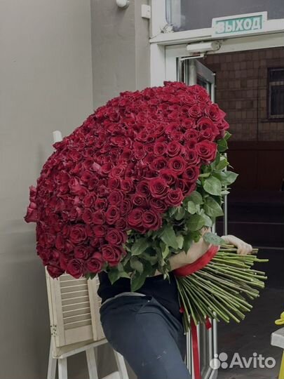 Розы гиганты