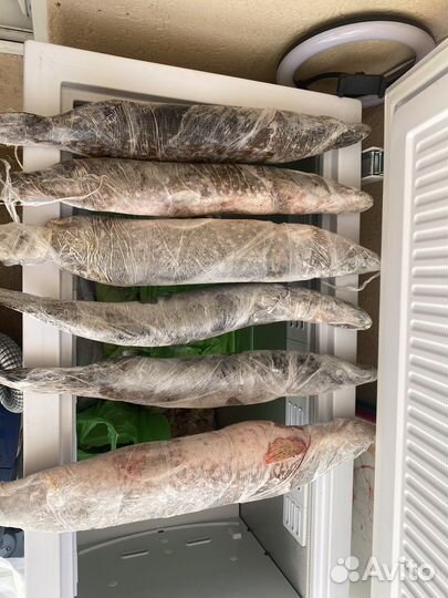 Свежемороженная рыба