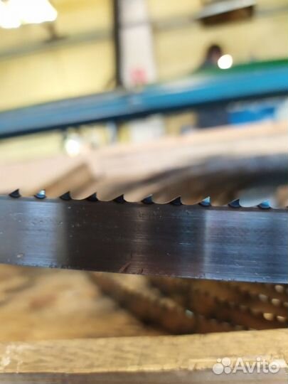 Пила пищевая мясокостная