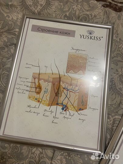 Плакаты в кабинет депиляции 3 шт