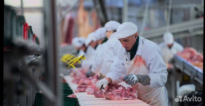 Разнорабочий на мясное производство(Вахта)