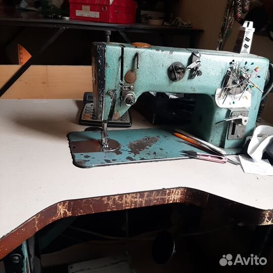 Прямострочка промышленная