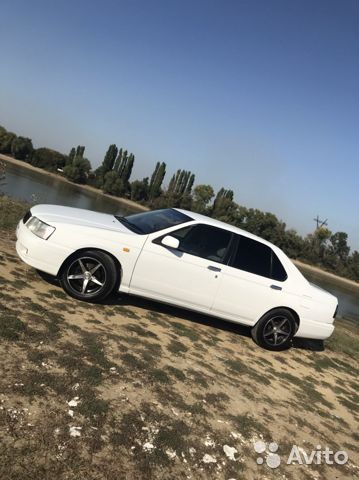Nissan Bluebird: фото владельца