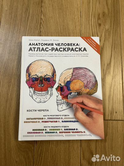 Книги по анатомии