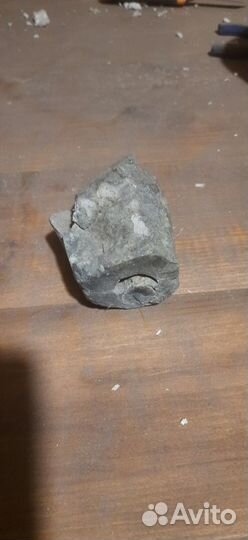 Окаменелости