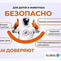 Уничтожение насекомых и грызунов, дезинфекция