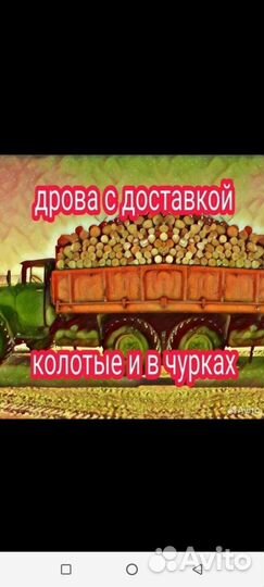 Дрова ясень акация