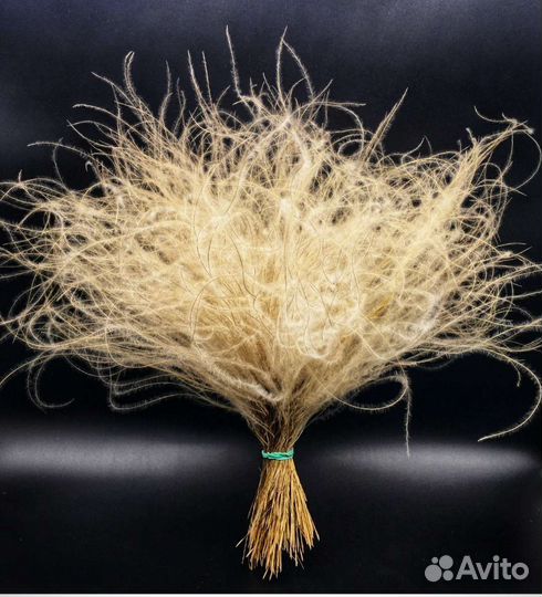 Ковыль сухоцвет в пучках