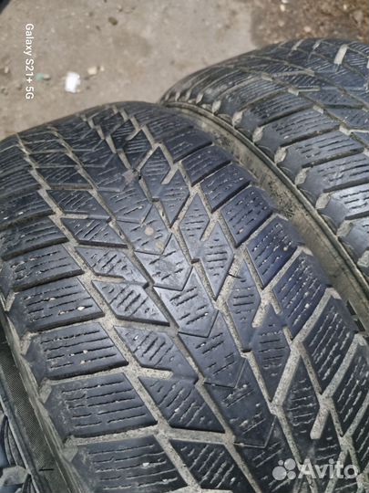 Nexen Winguard Ice Plus 185/60 R15 88T