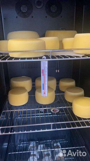 Климатическая камера для сыровяленья колбас и сыра