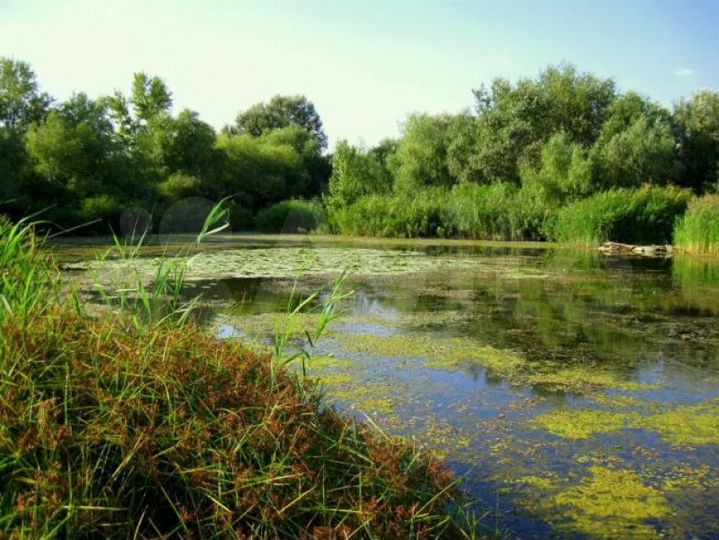 Участок 47,7 га (СНТ, ДНП)