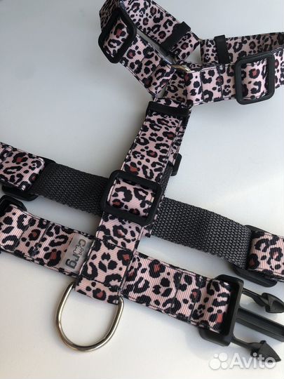 Шлейка, ошейник, поводок