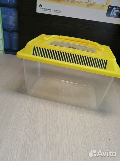 Крыса дамбо с клеткой