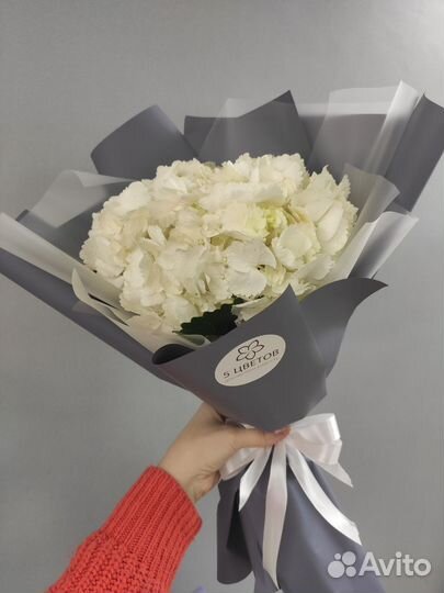 Букет из белой гортензия, цветы доставка