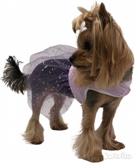 Шлейка для собаки