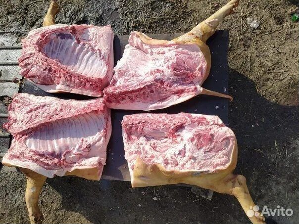 Мясо свинина домашняя