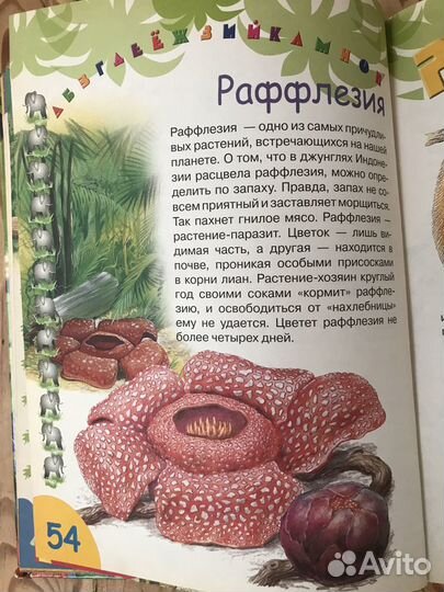 Детская книга о животном мире