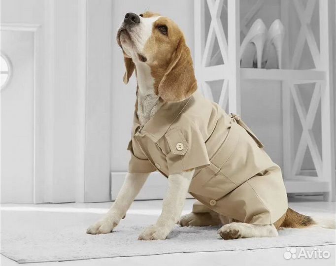 Плащ для собаки новый 3,5-6 кг