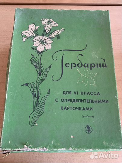 Гербарий школьный