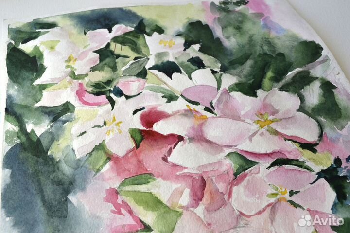 Картина Цветы Сакура Цветущая Ветка Акварелью