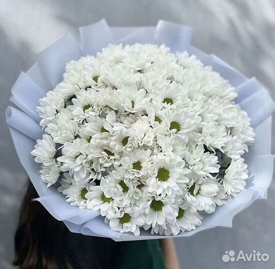 Доставка букетов и цветов. Хризантема