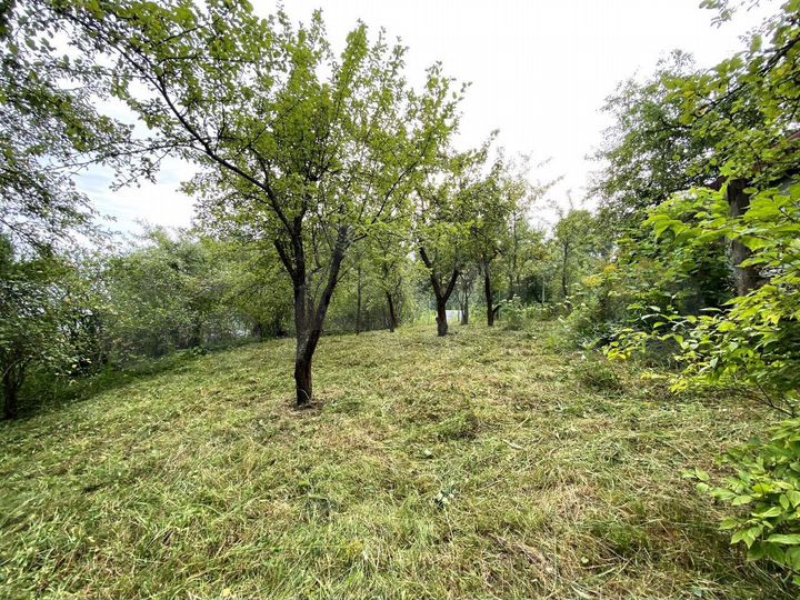 Участок 8,3 сот. (СНТ, ДНП)