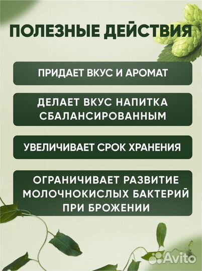 Хмель пивоваренный Жатецкий Zaaz 100 гр