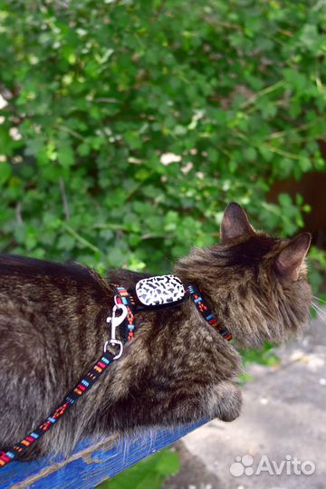 Gps tracker для животных