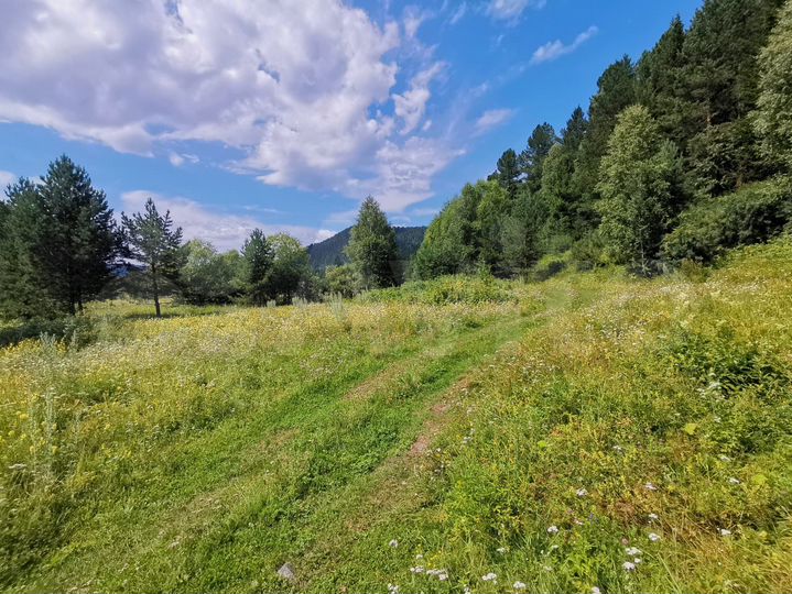 Участок 27 сот. (ИЖС)