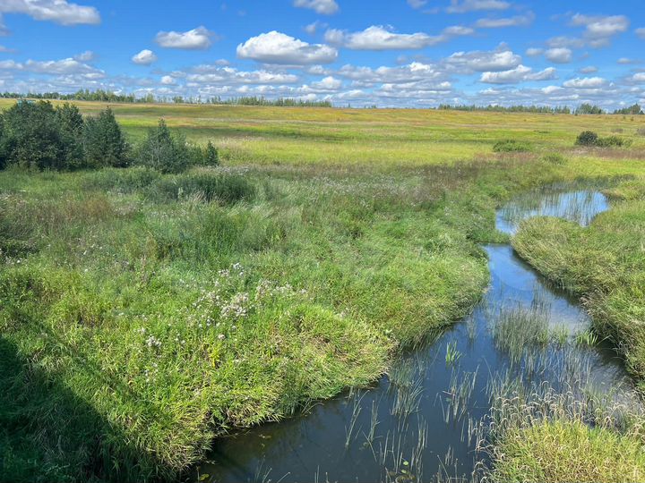 Участок 6 сот. (ИЖС)