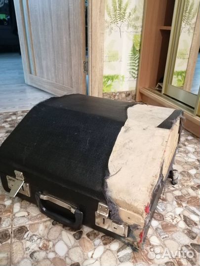 Аккордеон юность 2