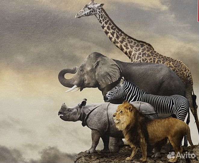 Пазлы 500 животные Африки