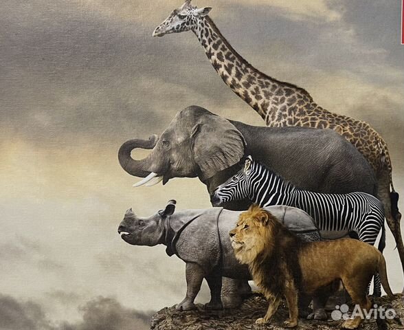 Пазлы 500 животные Африки