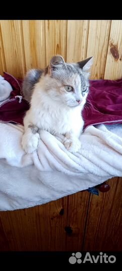 Матильда 9 мес