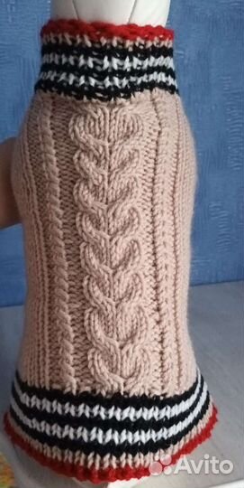 Одежда для собак