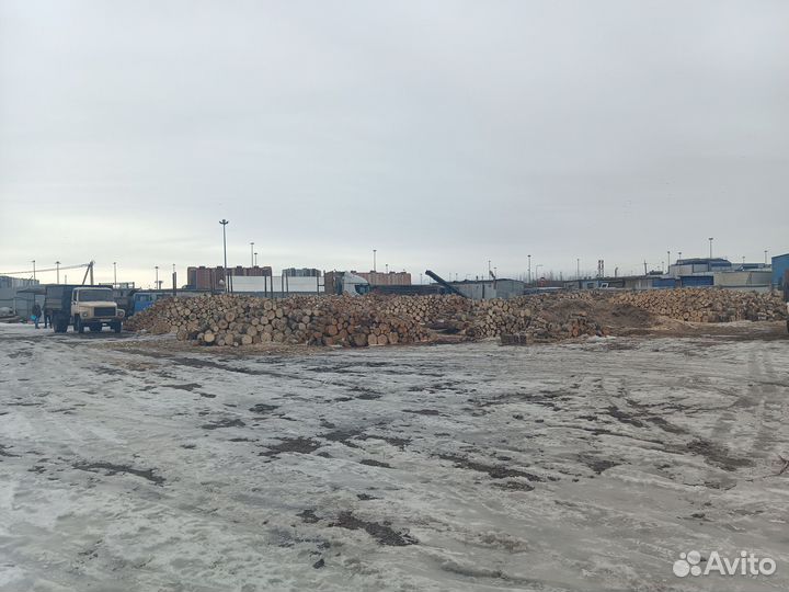 Дрова осиновые от 5м3