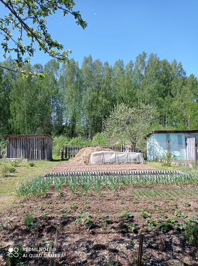 Участок 6 сот. (СНТ, ДНП)