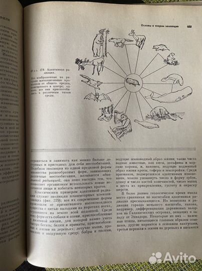 Биология К. Вилли. Зоология. А. Яхонтов
