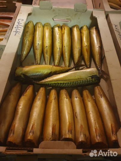 Рыба соленая, копченая, вяленая