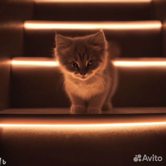 Подсветка лестницы с датчиками движения