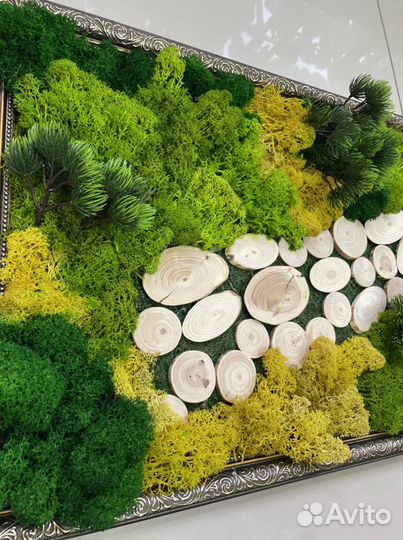 Панно из стабилизированного мха
